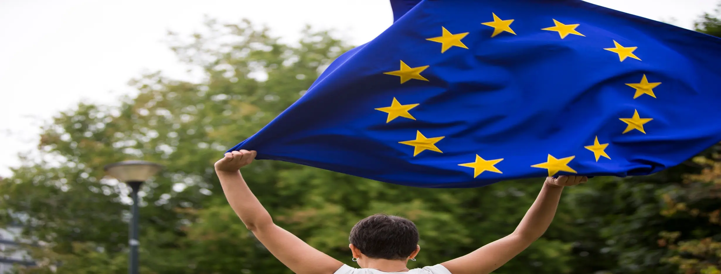 Image for EU Membership